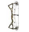 Compound Bows